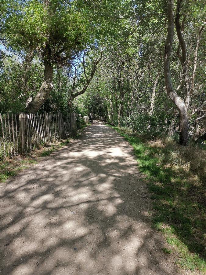 דה האן Griad In De Duinen מראה חיצוני תמונה